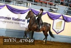 21YN_47049 thumbnail