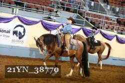 21YN_38770 thumbnail