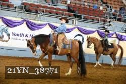 21YN_38771 thumbnail