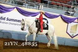 21YN_48855 thumbnail