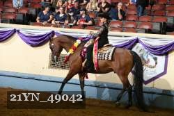 21YN_49042 thumbnail