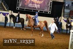 21YN_12332 thumbnail