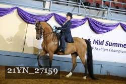 21YN_27159 thumbnail