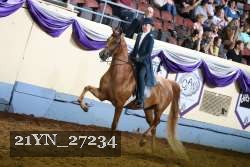 21YN_27234 thumbnail