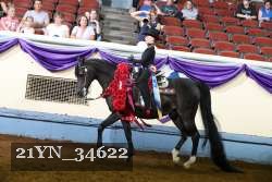 21YN_34622 thumbnail