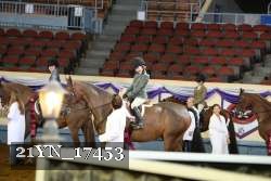 21YN_17453 thumbnail