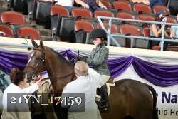 21YN_17459 thumbnail
