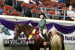 21YN_17462 thumbnail