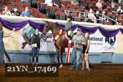 21YN_17469 thumbnail