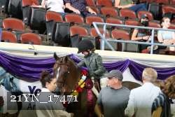 21YN_17471 thumbnail