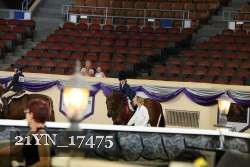 21YN_17475 thumbnail