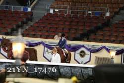 21YN_17476 thumbnail