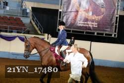 21YN_17480 thumbnail