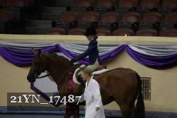 21YN_17487 thumbnail