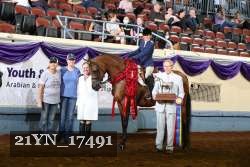 21YN_17491 thumbnail