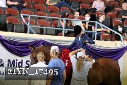 21YN_17495 thumbnail