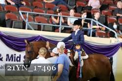 21YN_17496 thumbnail