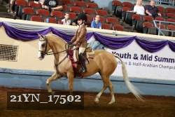 21YN_17502 thumbnail
