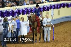 21YN_17504 thumbnail