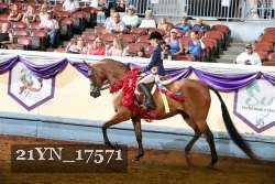 21YN_17571 thumbnail