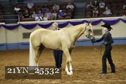 21YN_25532 thumbnail