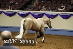 21YN_25535 thumbnail