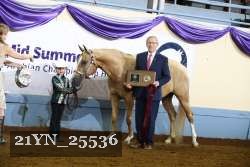 21YN_25536 thumbnail