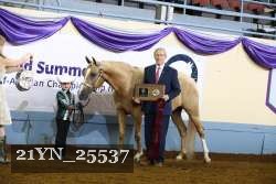 21YN_25537 thumbnail