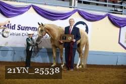 21YN_25538 thumbnail