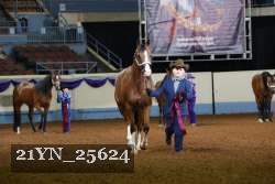21YN_25624 thumbnail