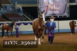 21YN_25626 thumbnail