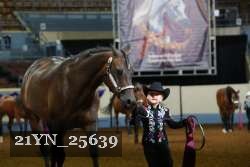 21YN_25639 thumbnail