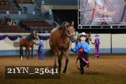 21YN_25641 thumbnail