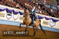 21YN_00817 thumbnail