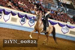 21YN_00822 thumbnail