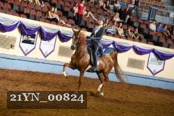 21YN_00824 thumbnail