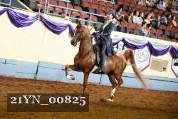 21YN_00825 thumbnail