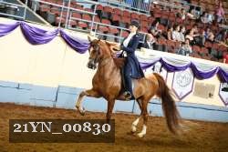 21YN_00830 thumbnail