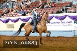 21YN_00883 thumbnail