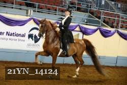 21YN_14124 thumbnail