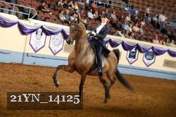 21YN_14125 thumbnail