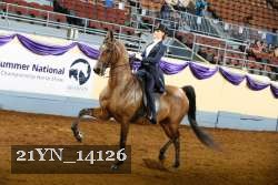 21YN_14126 thumbnail