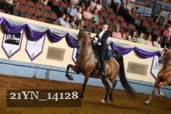 21YN_14128 thumbnail