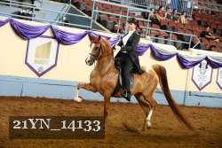 21YN_14133 thumbnail
