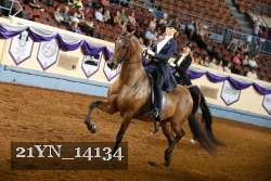 21YN_14134 thumbnail