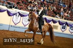 21YN_14136 thumbnail