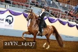 21YN_14137 thumbnail