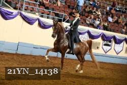21YN_14138 thumbnail