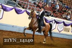 21YN_14140 thumbnail