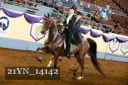 21YN_14142 thumbnail